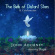 Adorney John - Bells Of Distant Stars Adorney John - Bells Of Distant Stars