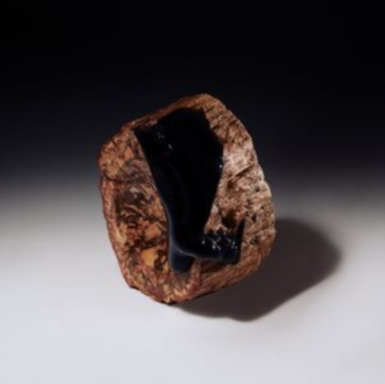 Maenad Veyl & The Sarcasm Ensemble - Comfort In Misery