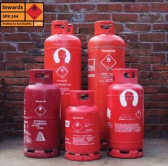 Inwards - Feeling So Fun Reality