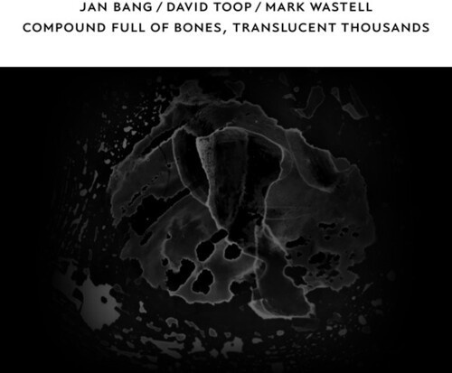 Jan Bang / David Toop / Mark Wastel - Compound Full Of Bones Translucent