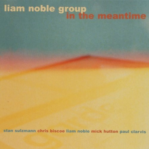 Liam Noble Group - In The Meantime