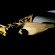 Holy Other - Lieve Holy Other - Lieve