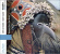 Various - Ivory Coast - Dan Masks Various - Ivory Coast - Dan Masks
