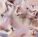 Polica - Madness Polica - Madness