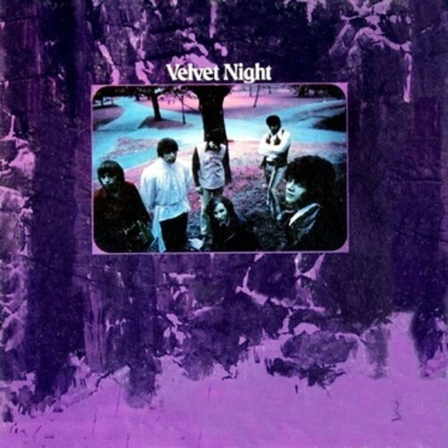 Velvet Night - Velvet Night (Violet)