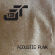 J Temp 13 - Acoustic Punk J Temp 13 - Acoustic Punk