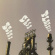 Scone Cash Players - Blast Furnace! Scone Cash Players - Blast Furnace!