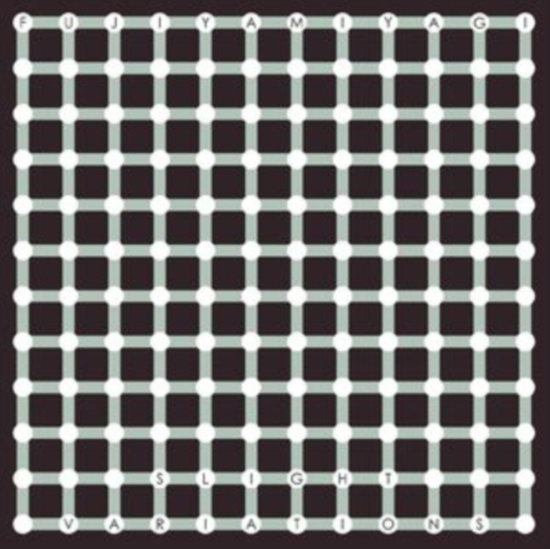 Fujiya & Miyagi - Slight Variations