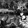Macromenia - Hyper Dosifications Macromenia - Hyper Dosifications