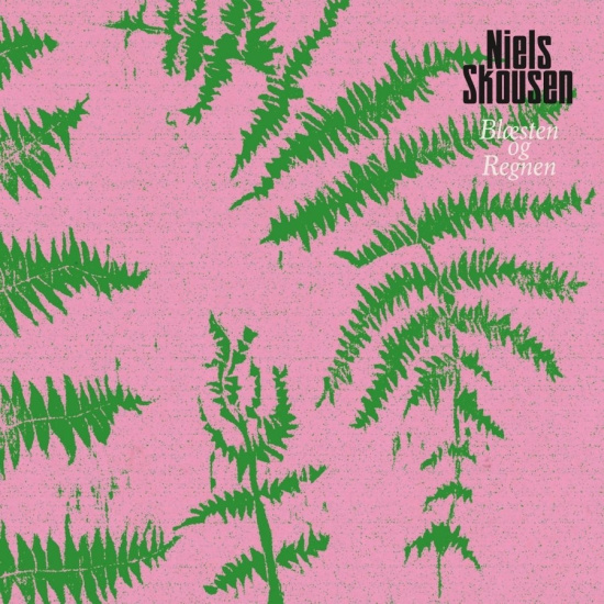 Niels Skousen - Blæsten Og Regnen