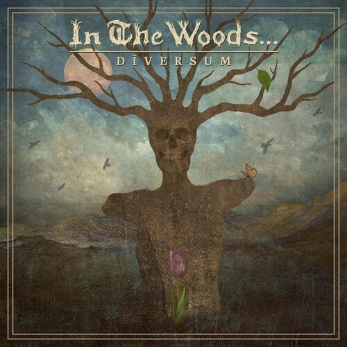 In The Woods... - Diversum (Vinyl Lp)