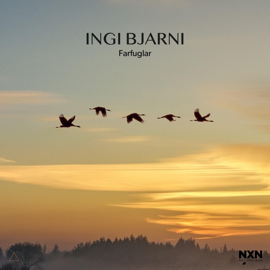 Ingi Bjarni - Farfuglar