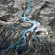Anachronism - Meanders (Vinyl Lp) Anachronism - Meanders (Vinyl Lp)