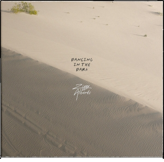 Ziggy Alberts - Dancing In The Dark