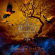 Magnus Rosen Band - Outside The Rock Box Magnus Rosen Band - Outside The Rock Box