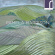 Harrison Pamela - Chamber Works Harrison Pamela - Chamber Works