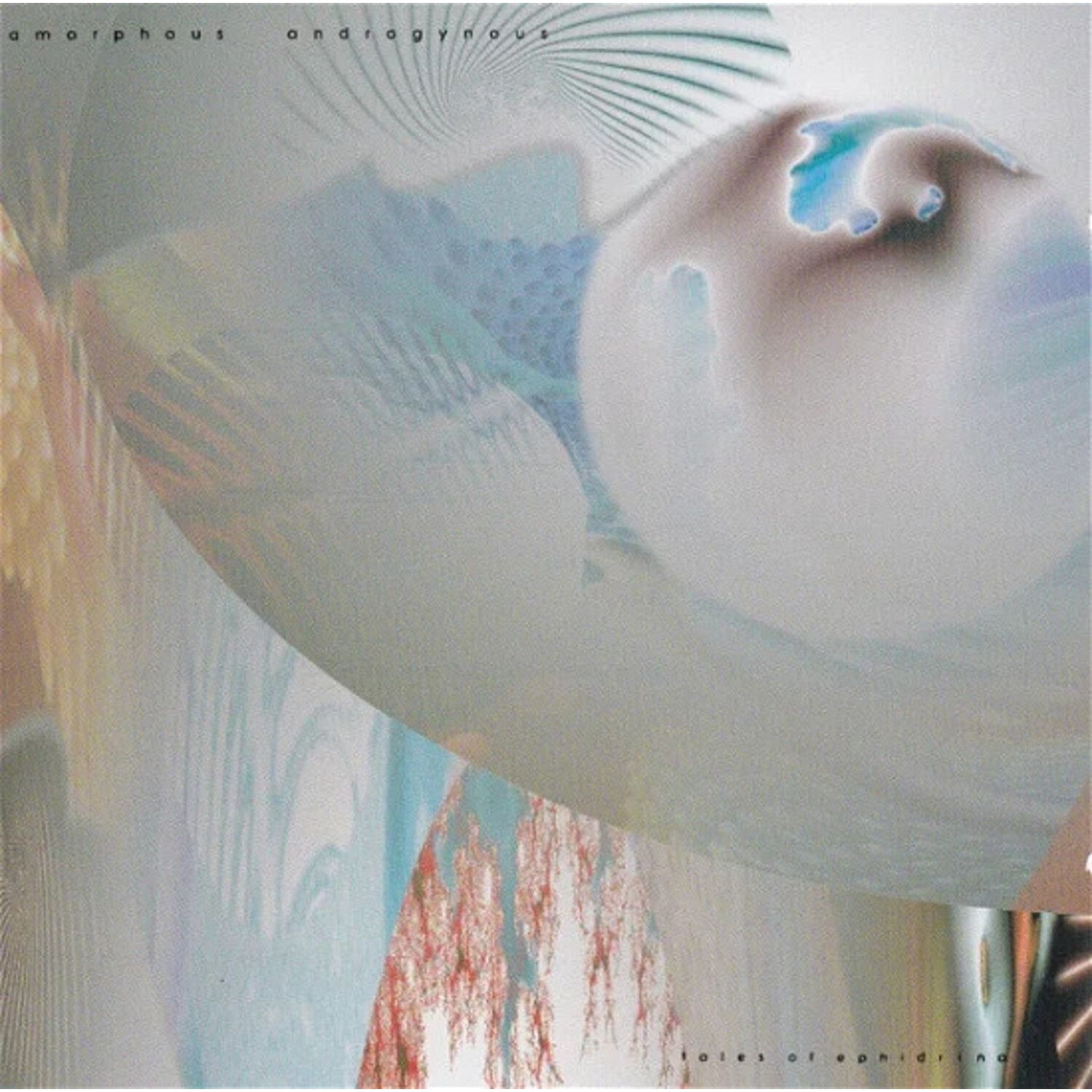 Amorphous Androgynous - Tales Of Ephidrina (Rsd Release)