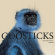 Godsticks - This Is What A Winner Looks Like Godsticks - This Is What A Winner Looks Like