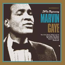 Gaye Marvin - In The Beginning (Vinyl Lp)