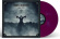 Black Sabbath - Paris 1970 (Purple Vinyl Lp) Black Sabbath - Paris 1970 (Purple Vinyl Lp)