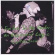 Essential Logic - Fanfare In The Garden Essential Logic - Fanfare In The Garden