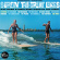 Various Artists - Surfin' The Great Lakes: Kay Bank S Various Artists - Surfin' The Great Lakes: Kay Bank S