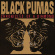 Black Pumas - Chronicles Of A Diamond (Clear Vinyl) Black Pumas - Chronicles Of A Diamond (Clear Vinyl)