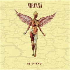 Nirvana - In Utero (30th Anniversary Super Deluxe 5CD Boxset)