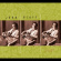 Hiatt John - The Tiki Bar Is Open (Transparent G Hiatt John - The Tiki Bar Is Open (Transparent G
