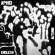 Aphid - Endless Autumn Aphid - Endless Autumn