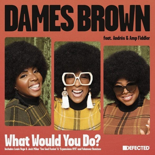 Dames Brown - What Would You Do? (Remixes) (Feat. Andres & Amp Fiddler)