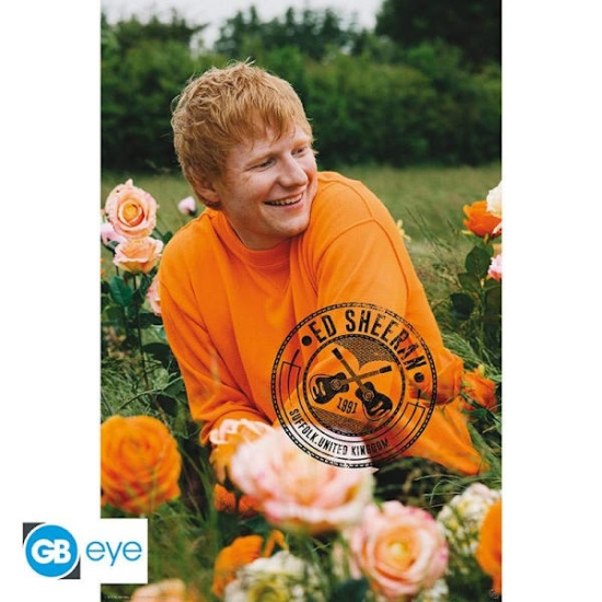 Ed Sheeran - Poster Rose Field  91,5 X 61 Cm