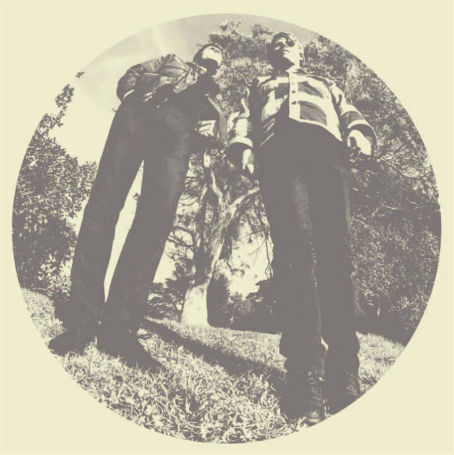 Segall Ty & White Fence - Hair