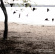 Tallest Man On Earth - There's No Leaving Now Tallest Man On Earth - There's No Leaving Now