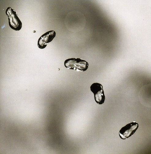Peter Gabriel - Up