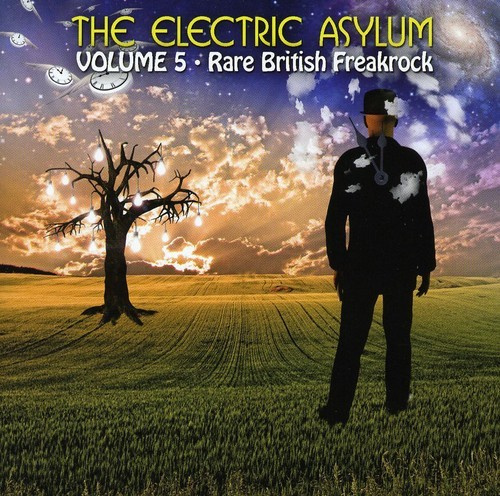 Various Artists - The Electric Asylum Vol 5