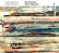 Magnard / Stephan - Concert-Centenaire, Vol. 1 Magnard / Stephan - Concert-Centenaire, Vol. 1