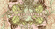 Horse Feathers - Krs Archived Volume 1 Horse Feathers - Krs Archived Volume 1