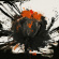 Avery Daniel - Wonderland / Running Avery Daniel - Wonderland / Running