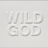 Nick Cave & The Bad Seeds - Wild God Nick Cave & The Bad Seeds - Wild God