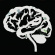 Ruins - Brain Flakes Ruins - Brain Flakes