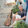 Franz Halász - Torroba: La Voz De La Guitarra Franz Halász - Torroba: La Voz De La Guitarra