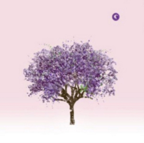 Eels - Tomorrow Morning