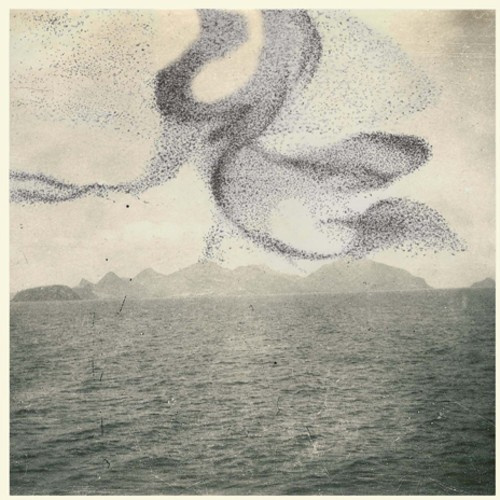 Snow Ghosts - A Small Murmuration