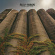 Blue Heron - Everything Fades (Transparent Sea B Blue Heron - Everything Fades (Transparent Sea B