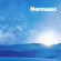 Hermano - When The Moon Was High (Black Vinyl) Hermano - When The Moon Was High (Black Vinyl)