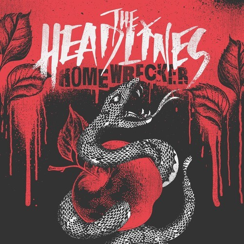 Headlines The - Homewrecker (Black/White Marbled Vi