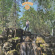 Graham Christo - Music For Horses Graham Christo - Music For Horses