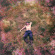 Maverick Sabre - Burn The Right Things Down Maverick Sabre - Burn The Right Things Down
