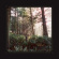 Haley Heynderickx - Seed Of A Seed Haley Heynderickx - Seed Of A Seed